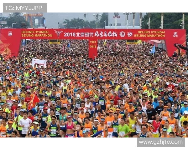 2016年足球队飞机失事事件回顾及其对体育界的深远影响