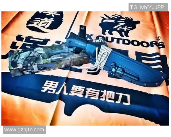 上海乒乓球队快攻革新之路：技术突破与战术演变的深度剖析