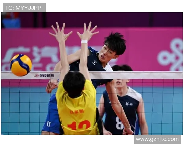 上海排球队的节奏变革引发热议新战术如何改变排球格局